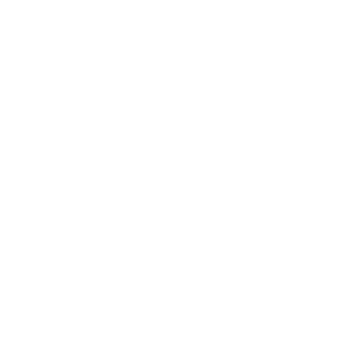 CSS